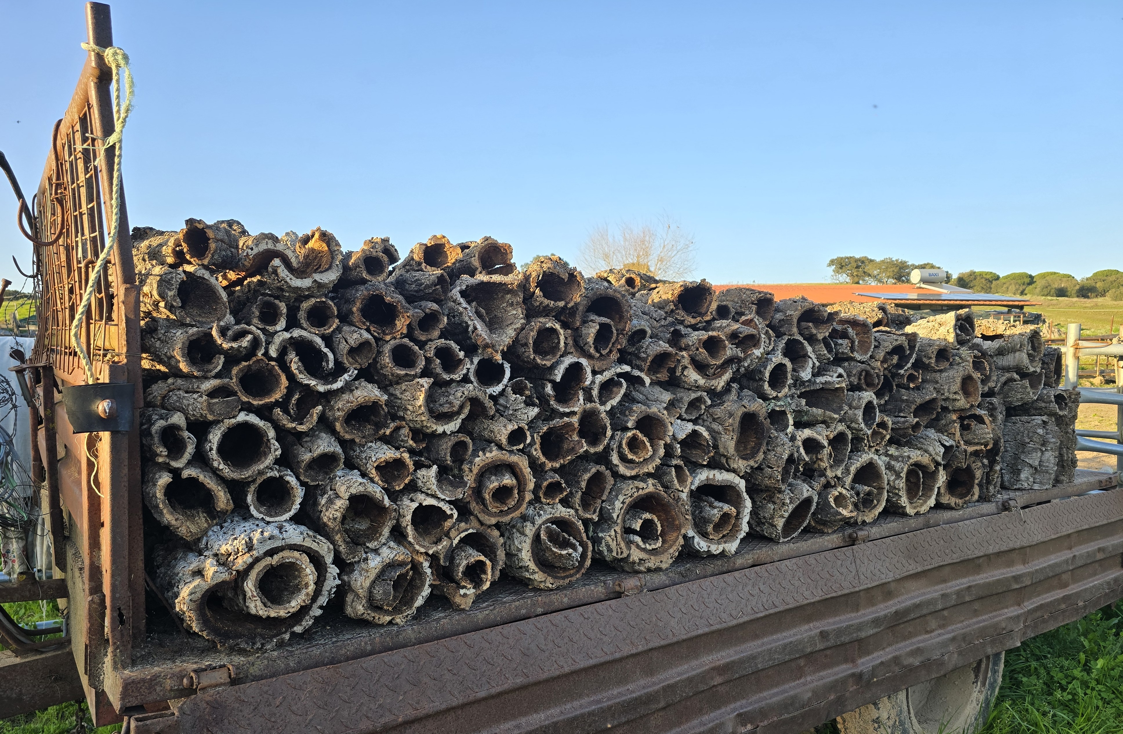Herdade do Pinheiro — sobral alentejano